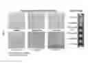 Fig. 08 - Microfluidic multi-well-based cell culture testing device