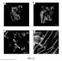 Fig. 26 - NOVEL 3D SCAFFOLD MICROSTRUCTURE
