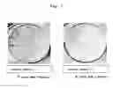 Fig. 02 - MEDIUM FOR CULTURING STEM CELLS
