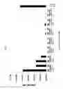 Fig. 05 - MEDIUM FOR CULTURING STEM CELLS