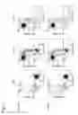 Fig. 02 - METHOD FOR PRODUCING NK CELL-ENRICHED BLOOD PREPARATION