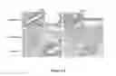 Fig. 07 - Polycistronic Vector for Human Induced Pluripotent Stem Cell Production