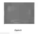 Fig. 17 - Polycistronic Vector for Human Induced Pluripotent Stem Cell Production