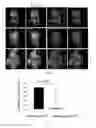 Fig. 02 - CHEMICALLY TREATED INDUCED PLURIPOTENT STEM CELLS FOR SAFE THERAPEUTIC APPLICATIONS