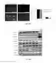 Fig. 15 - CHEMICALLY TREATED INDUCED PLURIPOTENT STEM CELLS FOR SAFE THERAPEUTIC APPLICATIONS