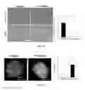 Fig. 19 - CHEMICALLY TREATED INDUCED PLURIPOTENT STEM CELLS FOR SAFE THERAPEUTIC APPLICATIONS