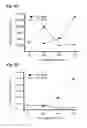 Fig. 05 - Bioassay for cell conditioned media
