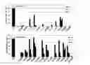 Fig. 07 - THERMOSENSITIVE MUTANTS OF INFLUENZA VIRUSES