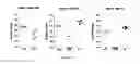 Fig. 11 - THERMOSENSITIVE MUTANTS OF INFLUENZA VIRUSES
