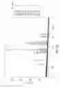 Fig. 25 - ANTIGEN BINDING MOLECULES WITH INCREASED Fc RECEPTOR BINDING AFFINITY AND EFFECTOR FUNCTION