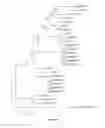 Fig. 24 - Cytokinin synthase enzymes, constructs, and related methods