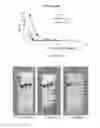 Fig. 22 - Long-acting coagulation factors and methods of producing same