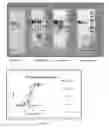 Fig. 28 - Long-acting coagulation factors and methods of producing same