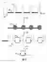 Fig. 17 - COMPOSITIONS AND METHODS OF NUCLEIC ACID-TARGETING NUCLEIC ACIDS
