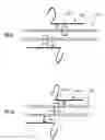 Fig. 45 - COMPOSITIONS AND METHODS OF NUCLEIC ACID-TARGETING NUCLEIC ACIDS