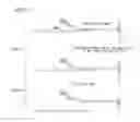 Fig. 07 - Nucleic acid linker
