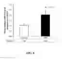 Fig. 05 - DIAGNOSTIC AND THERAPEUTIC METHODS RELATING TO MICRORNA-144
