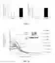 Fig. 10 - DIAGNOSTIC AND THERAPEUTIC METHODS RELATING TO MICRORNA-144