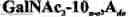 Fig. 141 - Compositions and methods for modulating HBV expression