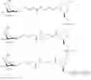 Fig. 239 - Compositions and methods for modulating HBV expression