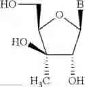 Fig. 23 - Phosphorous-linked oligomeric compounds and their use in gene modulation