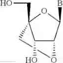 Fig. 25 - Phosphorous-linked oligomeric compounds and their use in gene modulation