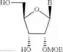 Fig. 31 - Phosphorous-linked oligomeric compounds and their use in gene modulation