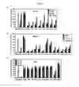 Fig. 02 - Compositions and methods for silencing marburg virus gene expression