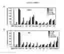 Fig. 03 - Compositions and methods for silencing marburg virus gene expression