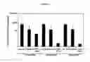 Fig. 06 - Compositions and methods for silencing marburg virus gene expression