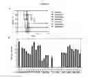 Fig. 07 - Compositions and methods for silencing marburg virus gene expression