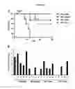 Fig. 08 - Compositions and methods for silencing marburg virus gene expression
