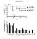 Fig. 09 - Compositions and methods for silencing marburg virus gene expression