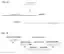 Fig. 08 - RNA aptamers against BAFF-R as cell-type specific delivery agents and methods for their use