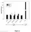 Fig. 13 - RNA aptamers against BAFF-R as cell-type specific delivery agents and methods for their use