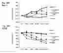 Fig. 41 - RNA aptamers against BAFF-R as cell-type specific delivery agents and methods for their use