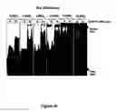 Fig. 49 - RNA aptamers against BAFF-R as cell-type specific delivery agents and methods for their use