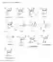 Fig. 02 - Modified TGF-beta oligonucleotides