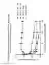 Fig. 17 - Modified TGF-beta oligonucleotides