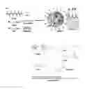 Fig. 01 - Nanoparticle mediated delivery of siRNA