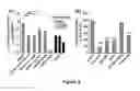 Fig. 07 - Nanoparticle mediated delivery of siRNA