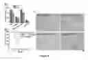 Fig. 10 - Nanoparticle mediated delivery of siRNA