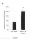 Fig. 17 - Pharmaceutical composition for treating liver diseases