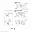 Fig. 02 - Therapeutic compositions