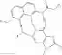 Fig. 13 - Therapeutic compositions