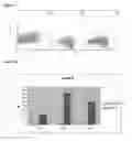 Fig. 07 - Methods for improving recombinant protein expression