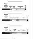 Fig. 02 - gene-regulatory elements and uses thereof
