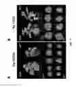 Fig. 06 - Methods of enhancing the resistance of plants to bacterial pathogens