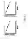 Fig. 15 - Replication defective adenovirus vector in vaccination