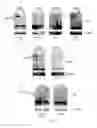 Fig. 05 - Effective delivery of large genes by dual AAV vectors